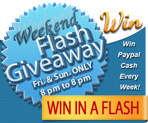 300x250flash1