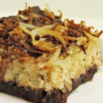 Chocolate Hazelnut Coconut Bars