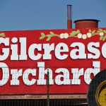 Gilcrease-Orchard-Farm-Las-Vegas