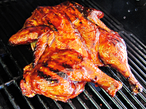  - Grilled-BBQ-Whole-Chicken-Butterflying-Spatchcocked-6