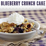 Easy Recipe: Blueberry Crunch Dump Cake
