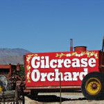 Gilcrease Orchard – U-Pick Farm in Las Vegas