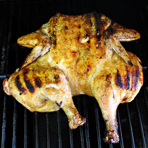 Grilled Butterflied Whole Chicken with 