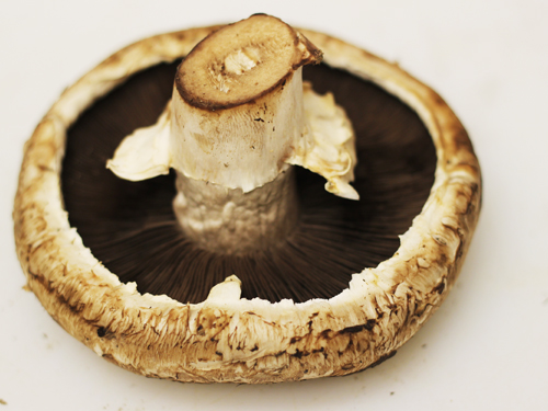 Portobello Mushrooms 