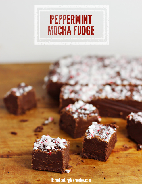 Peppermint Mocha Fudge recipe -- easy candy recipe that uses peppermint mocha coffee creamer (you could easily substitute your own favorite flavor)