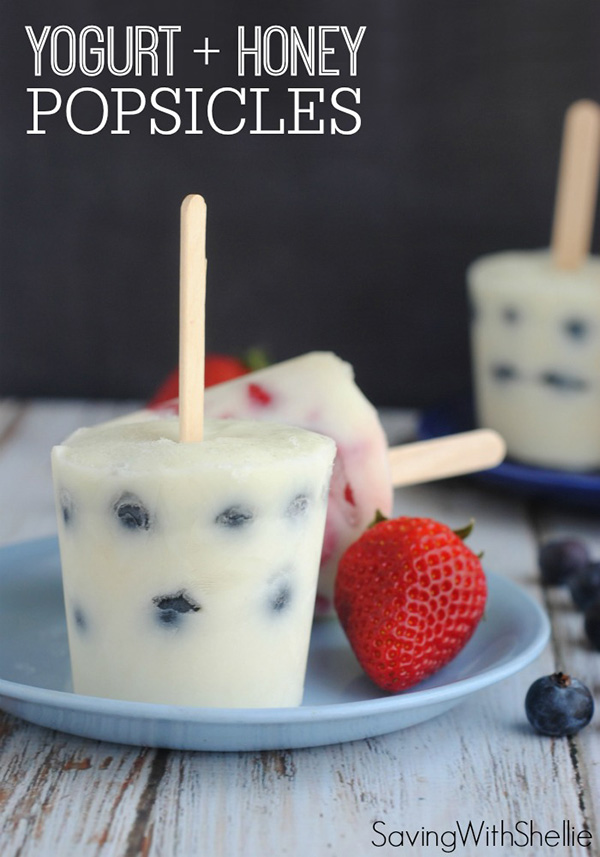 Yogurt and Honey Popsicles by Simply Shellie