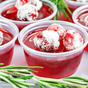 Cranberry Jello Shot Recipe