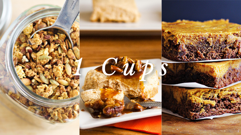 Recipes that use 1 cup pumpkin purée