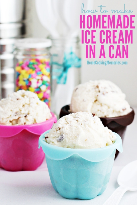 4 Pieces Ice Cream Containers for Homemade Ice Cream with Dry