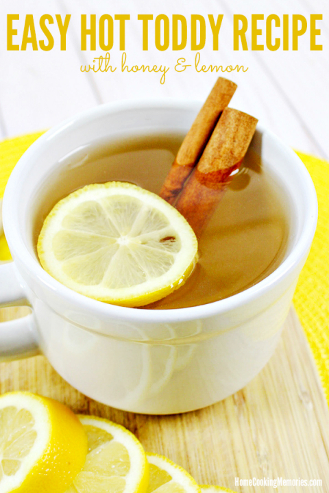 Classic Hot Toddy Recipe  How to Make a Hot Toddy Drink